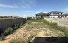 MOSNITA-DUPLEX MODERN-COMPARTIMENTARE EXCELENTA - 2