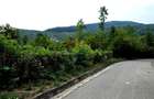 Teren Intravilan, utilitati in zona, 2600 mp, Draganeasa, Prahova - 1
