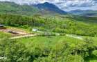 Teren 500mp, intravilan, intre Bran si Zarnesti (Tohanita) - 4