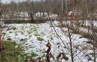 Casă cu Teren 507 Mp în Valea Bradului - 2