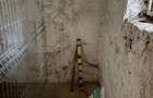 Ap 2 camere | 42 mp | Plopilor-BT Arena - 9