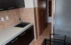 INCHIRIERE APARTAMENT 2 CAMERE - 8