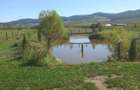 Vand casa de locuit, toate utilita?ile, lac de pescuit, gradina - 8