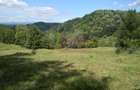 Teren intravilan de vanzare in Telega - 14