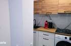 Apartament cu 1 camera de inchiriat Mazepa Rosiori - 3
