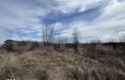 Teren extravilan de vanzare, 15.000 mp, zona Narcise II - 3
