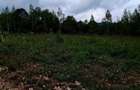Natura/ Cabana de weekend/liniste, relaxare la Sinca Noua Brasov - 5