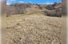 Teren de exceptie 3,1 ha intravilan | Panorama, utilitati, acces dublu | Sardu - 7