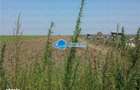Vanzare Teren Intravilan Herasti Giurgiu 2 HA - 4