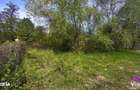 Teren intravilan premium 617mp | Padurea Dumbrava - 3