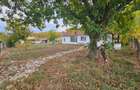 Casă cu 2 camere cu Teren 472 Mp în Vețel