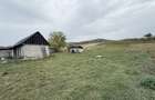 Vand casa in Pestis Judetul Bihor