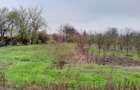 De vanzare casa +teren 16k mp in BARCANESTI / IL - 10