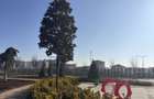 3 camere Siguran?a 24/7 | Parc Privat |West Avenue Militari - 6