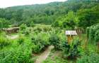 Casa cu teren de vanzare sat Slobozia, comuna Stoenesti, jud. Arges 30.000 - 6