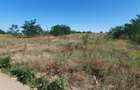 vand teren intravilan Malu Mare 1500 mp - strada Salcamilor - 9