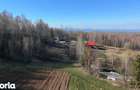Teren Dealu Mare, Risca - 2