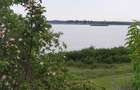 Particular, vand teren cu deschidere la lacul Cernica, langa padure - 5