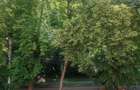 Casa cu teren generos in zona Parcul Regina Maria oportunitate de - 3