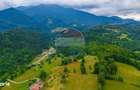 Teren intravilan 2,410mp Rasnov - Valea Panicelului, vedere panoramica