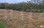 Teren intravilan parcelat - 2882 mp - Sat Bejan - 2