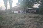Casa de vanzare in Baldana (Tartasesti) Teren 507 mp - 5