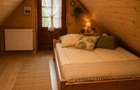 Casa de vacanta in Campu Cetatii,teren 2.400 mp, langa rau si padure - 10