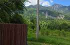 Teren de 1000 mp, în Cumpătu - 2