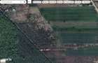 `Teren langa padure, Snagov - Strada Parcului - 3