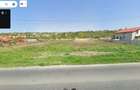 Teren de vanzare 3000 m2 30 euro/m2 Salingy 44.2806487, 28.0841185 - 2
