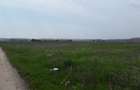 Teren extravilan, Cotofenii din Fata, jud Dolj -id 6954-0... - 7
