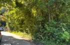 Teren intravilan Valea Mare Podgoria, ID: R3259992 - 9