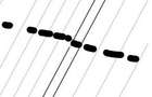 Teren extravilan Murfatlar, ID: R2982572 - 7