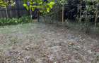 67500 EURO NEGOCIABIL Vand teren str. Carpenului 500 mp - 3