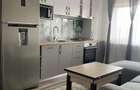 Apartament 2 camere - zona Sagului - 8
