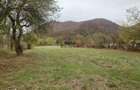 Teren intravilan 2500mp Criscior