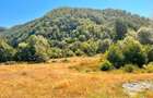 Teren de Vanzare - Valea Mare, com. Pades, Gorj