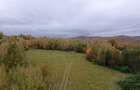 Teren ideal recreere/conectare cu natura/zona Fagaras/achitare in rate