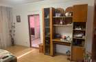 Apartament cu 2 camere semidecomandat în Craiovița Nouă - 2