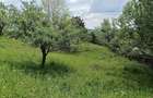 Teren intravilan, 1.584 mp, Com Talea, Jud Prahova - 8
