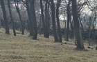 Teren de 4200 mp, în Drajna - 1