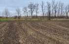 Teren Dorohoi - 23000 mp - Sau - Parcele 1000mp, 900mp, 1500mp, etc. - 5