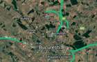 Nou | Teren Intravilan | 1065 mp | Langa Padure / Sili?tea Snagovului
