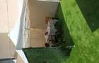 Vand urgent sau schimb cu apartament cu doua camere ?i o diferen?a - 1
