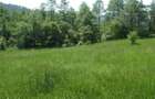 Vand teren intravilan 1632 mp in Poiana Sarata-Oituz - 1