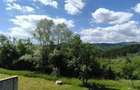 BreazaOcina de SusVila Exclusivista343 mp5000 mp Teren195.000 EUR - 13