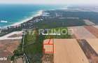 Teren ideal investitie litoral zona statiunii Olimp - 1