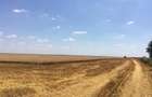 Agriculture farm cu 1450 ha - 2
