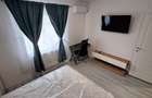 Apartament 1 camera Lunca Cetatuii - 2