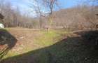 Casa de vanzare com.Blajani - 9